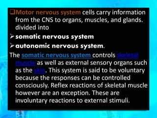 Motor nervous system cells carry information
from the CNS to organs, muscles, and glands.
divided into
somatic nervous system
autonomic nervous system.
The somatic nervous system controls skeletal
muscle as well as external sensory organs such
as the skin. This system is said to be voluntary
because the responses can be controlled
consciously. Reflex reactions of skeletal muscle
however are an exception. These are
involuntary reactions to external stimuli.
 