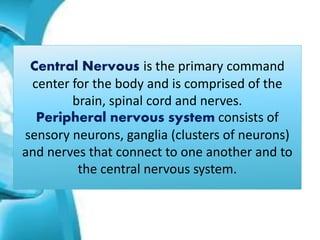 Central Nervous is the primary command
center for the body and is comprised of the
brain, spinal cord and nerves.
Peripheral nervous system consists of
sensory neurons, ganglia (clusters of neurons)
and nerves that connect to one another and to
the central nervous system.
 