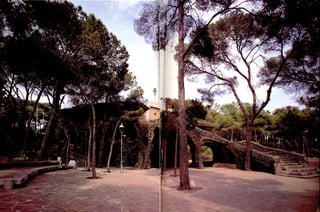 Anton gaudi compress