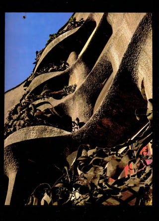 Anton gaudi compress