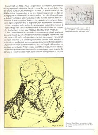 Anton gaudi compress