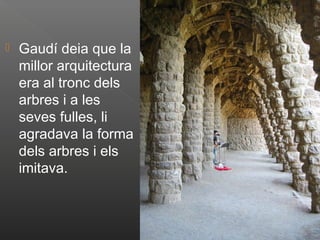    Gaudí deia que la
    millor arquitectura
    era al tronc dels
    arbres i a les
    seves fulles, li
    agradava la forma
    dels arbres i els
    imitava.
 