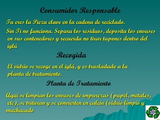 Consumidor Responsable Tu eres la Pieza clave en la cadena de reciclado. Sin Ti no funciona. Separa los residuos, deposita los envases en sus contenedores y recuerda no tirar tapones dentro del iglú Recogida El vidrio se recoge en el iglú, y es trasladado a la  planta de tratamiento. Planta de Tratamiento Aquí se limpian los envases de impurezas (papel, metales, etc), se trituran y se convierten en calcín (vidrio limpio y  machacado 