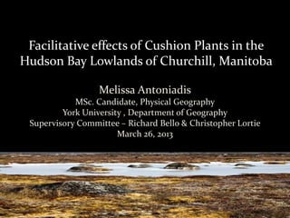 Facilitative effects of Cushion Plants in the
Hudson Bay Lowlands of Churchill, Manitoba

                  Melissa Antoniadis
            MSc. Candidate, Physical Geography
         York University , Department of Geography
 Supervisory Committee – Richard Bello & Christopher Lortie
                       March 26, 2013
 