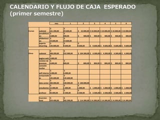 CALENDARIO Y FLUJO DE CAJA  ESPERADO (primer semestre)
