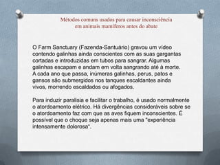 Métodos comuns usados para causar inconsciência
                em animais mamíferos antes do abate


O Farm Sanctuary (Fazenda-Santuário) gravou um vídeo
contendo galinhas ainda conscientes com as suas gargantas
cortadas e introduzidas em tubos para sangrar. Algumas
galinhas escapam e andam em volta sangrando até à morte.
A cada ano que passa, inúmeras galinhas, perus, patos e
gansos são submergidos nos tanques escaldantes ainda
vivos, morrendo escaldados ou afogados.

Para induzir paralisia e facilitar o trabalho, é usado normalmente
o atordoamento elétrico. Há divergências consideráveis sobre se
o atordoamento faz com que as aves fiquem inconscientes. É
possível que o choque seja apenas mais uma "experiência
intensamente dolorosa“.
 