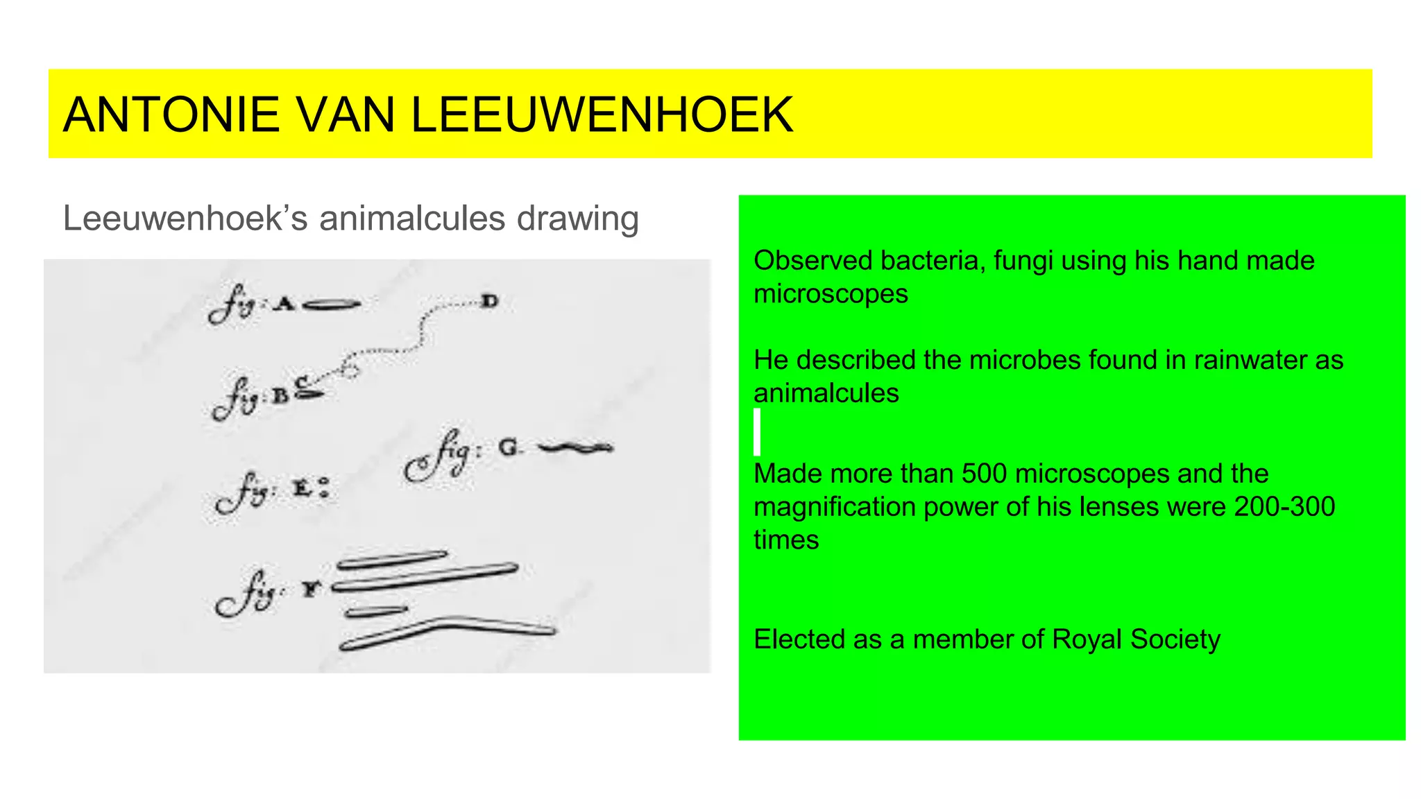 Antonie Van Leeuwenhoek