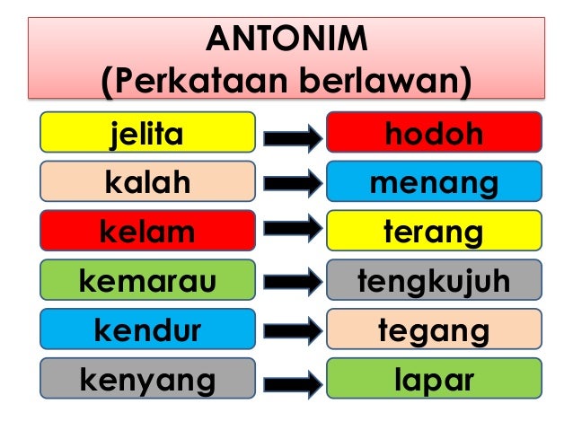 Antonim