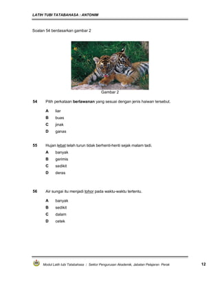 LATIH TUBI TATABAHASA : ANTONIM
Modul Latih tubi Tatabahasa : Sektor Pengurusan Akademik, Jabatan Pelajaran Perak 12
Soalan 54 berdasarkan gambar 2
Gambar 2
54 Pilih perkataan berlawanan yang sesuai dengan jenis haiwan tersebut.
A liar
B buas
C jinak
D ganas
55 Hujan lebat telah turun tidak berhenti-henti sejak malam tadi.
A banyak
B gerimis
C sedikit
D deras
56 Air sungai itu menjadi tohor pada waktu-waktu tertentu.
A banyak
B sedikit
C dalam
D cetek
 