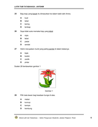 LATIH TUBI TATABAHASA : ANTONIM
Modul Latih tubi Tatabahasa : Sektor Pengurusan Akademik, Jabatan Pelajaran Perak 6
25 Baju-baju yang basah itu dimasukkan ke dalam baldi oleh Amira.
A kuat
B tebal
C kering
D lembap
26 Saya tidak suka memakai baju yang tebal.
A nipis
B lebat
C padat
D sendat
27 Helmi merupakan murid yang paling pandai di dalam kelasnya.
A bijak
B bodoh
C cerdik
D pintar
Soalan 28 berdasarkan gambar 1
Gambar 1
28 Pilih kata lawan bagi keadaan bunga di atas.
A mekar
B kuncup
C kempis
D kembung
 