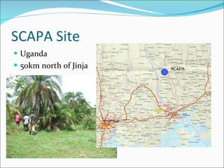 SCAPA Site Uganda 50km north of Jinja 