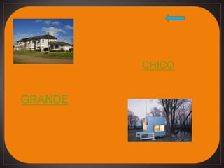 CHICO


GRANDE
 