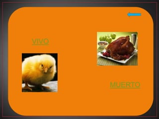 VIVO




       MUERTO
 