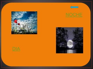 NOCHE




DIA
 