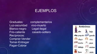 EJEMPLOS
Graduales: complementarios
Luz-oscuridad vivo-muerto
Blanco-negro Legal-ilegal
Frio-caliente casado-soltero
Recíprocos:
Comprar-Vender
Tomar-Entregar
Pagar-Cobrar