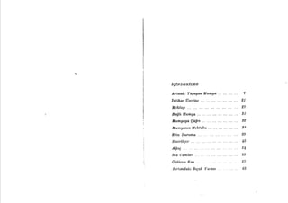 Antonin artaud   yaşayan mumya