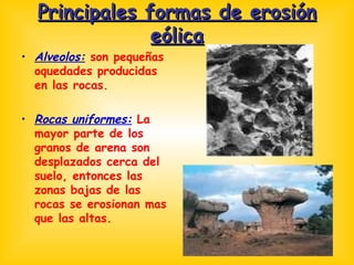 Principales formas de erosión eólica Alveolos:  son pequeñas oquedades producidas en las rocas. Rocas uniformes:  La mayor parte de los granos de arena son desplazados cerca del suelo, entonces las zonas bajas de las rocas se erosionan mas que las altas. 