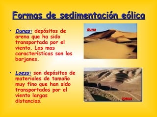 Formas de sedimentación eólica Dunas:  depósitos de arena que ha sido transportada por el viento. Las mas características son los barjanes. Loess:  son depósitos de materiales de tamaño muy fino que han sido transportados por el viento largas distancias . duna loess 