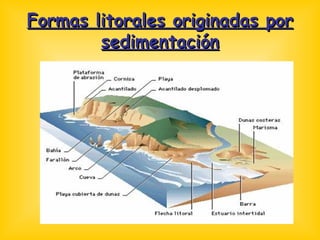 Formas litorales originadas por sedimentación 
