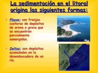 La sedimentación en el litoral origina las siguientes formas: Playas:  son franjas costeras de depósitos de arena o grava que se encuentran parcialmente sumergidas. Deltas:  son depósitos acumulados en la desembocadura de un río. delta 