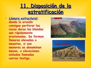 11. Disposición de la estratificación Llanura estructural:  donde la erosión consigue perforar las rocas duras las blandas son rápidamente erosionadas. Se forman llanuras elevadas o mesetas, si son menores se denominan mesas, o elevaciones aisladas llamadas cerros testigo. meseta Cerros testigo 