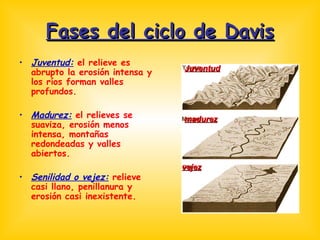Fases del ciclo de Davis Juventud:  el relieve es abrupto la erosión intensa y los ríos forman valles profundos. Madurez:  el relieves se suaviza, erosión menos intensa, montañas redondeadas y valles abiertos. Senilidad o vejez:  relieve casi llano, penillanura y erosión casi inexistente. Juventud madurez vejez 