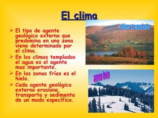 El clima El tipo de agente geológico externo que predomina en una zona viene determinado por el clima.  En los climas templados el agua es el agente mas importante. En las zonas frías es el hielo. Cada agente geológico externo erosiona, transporta y sedimenta de un modo específico. clima templado zona fría 