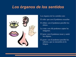 En la función de relación intervienen los órganos de los sentidos, el sistema   nervioso y el aparato locomotor. 