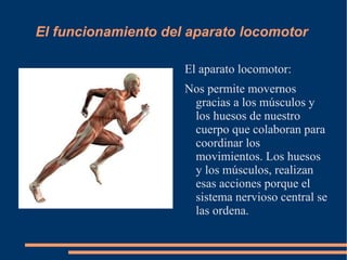 El olfato: con él podemos percibir los olores. 