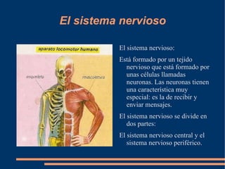 La vista: con ella podemos captar las imágenes. 