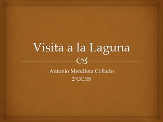 Antonio Mendieta Collado
2ºCC.SS
 