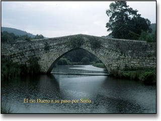 El río Duero a su paso por Soria 