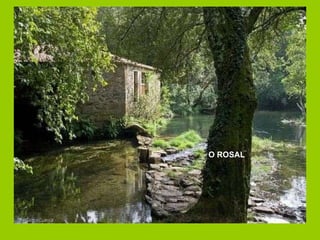 O ROSAL 