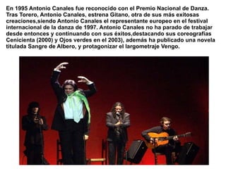 En 1995 Antonio Canales fue reconocido con el Premio Nacional de Danza. Tras Torero, Antonio Canales, estrena Gitano, otra de sus más exitosas creaciones,siendo Antonio Canales el representante europeo en el festival internacional de la danza de 1997. Antonio Canales no ha parado de trabajar desde entonces y continuando con sus éxitos,destacando sus coreografías Cenicienta (2000) y Ojos verdes en el 2003), además ha publicado una novela titulada Sangre de Albero, y protagonizar el largometraje Vengo. 