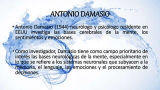 Antonio DAMASIO (1944 - .)