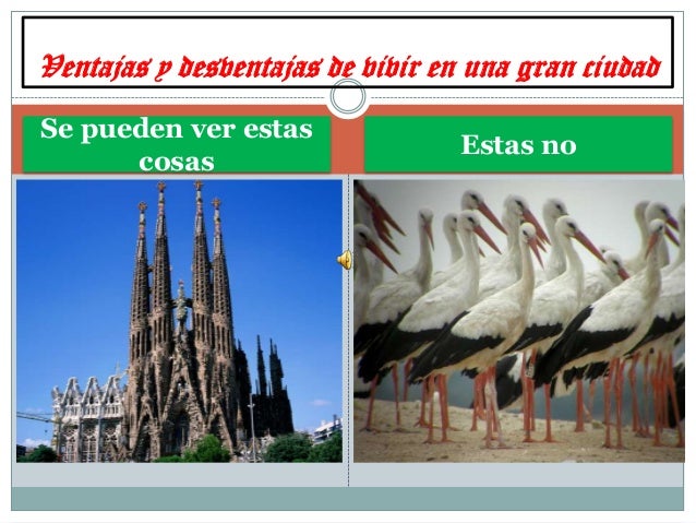 ventajas y desventajas de vivir en una gran ciudad Desde mi punto de vista, me parece que es mejor vivir y residir en una ciudad por sus ventajas y desventajas que son : la ciudad tiene diferentes tipos de ventajas. ventajas y desventajas de vivir en una gran ciudad Desde mi punto de vista, me parece que es mejor vivir y residir en una ciudad por sus ventajas y desventajas que son : la ciudad tiene diferentes tipos de ventajas.