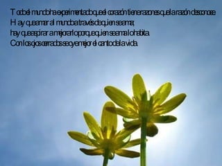 Todo el mundo ha experimentado que el corazón tiene razones que la razón desconoce.  Hay que amar al mundo a través de quien se ama;  hay que aspirar a mejorarlo porque quien se ama lo habita.  Con los ojos cerrados se oye mejor el canto de la vida.  