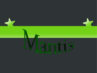 Mantis 