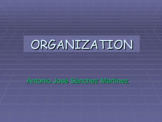 ORGANIZATION Antonio José Sánchez Martínez 