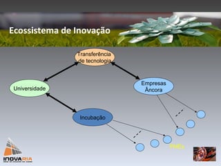 Ecossistema de Inovação Universidade Transferência  de tecnologia Empresas Âncora Incubação PMEs 