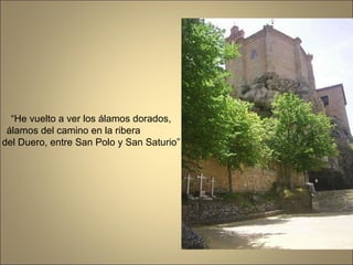 “ He vuelto a ver los álamos dorados, álamos del camino en la ribera  del Duero, entre San Polo y San Saturio” 
