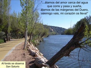 “...álamos del amor cerca del agua
                            que corre y pasa y sueña,
                      álamos de las márgenes del Duero,
                      conmigo vais, mi corazón os lleva!”




Al fondo se observa
     San Saturio
 