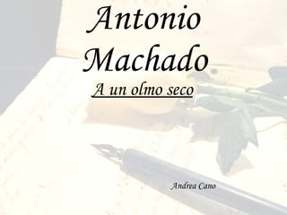 Antonio Machado A un olmo seco Andrea Cano 