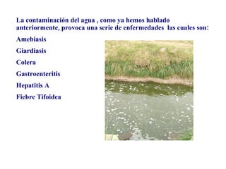 La contaminación del agua , como ya hemos hablado anteriormente, provoca una serie de enfermedades  las cuales son: Amebiasis Giardiasis Colera Gastroenteritis Hepatitis A Fiebre Tifoidea 