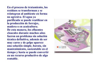 En el proceso de tratamiento, los residuos se transforman y se reintegran al ambiente en forma no agresiva. El agua ya purificada se puede reutilizar en la producción de forrajes, madera o en acuicultura. De esta manera, los efluentes cloacales durante muchos años fueron un problema sin solución técnica definitiva, además de ser muy caros y de golpe aparece una solución simple, barata, sin mantenimiento, sustentable en el tiempo y hasta se puede convertir en un recurso productivo de algo rentable. 