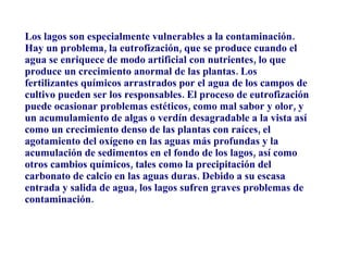 Los lagos son especialmente vulnerables a la contaminación. Hay un problema, la eutrofización, que se produce cuando el agua se enriquece de modo artificial con nutrientes, lo que produce un crecimiento anormal de las plantas. Los fertilizantes químicos arrastrados por el agua de los campos de cultivo pueden ser los responsables. El proceso de eutrofización puede ocasionar problemas estéticos, como mal sabor y olor, y un acumulamiento de algas o verdín desagradable a la vista así como un crecimiento denso de las plantas con raíces, el agotamiento del oxígeno en las aguas más profundas y la acumulación de sedimentos en el fondo de los lagos, así como otros cambios químicos, tales como la precipitación del carbonato de calcio en las aguas duras. Debido a su escasa entrada y salida de agua, los lagos sufren graves problemas de contaminación. 