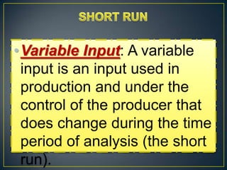 Production Period | PPTX