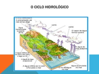 O CICLO HIDROLÓGICO 