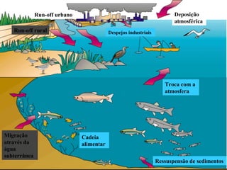Despejos industriais Deposição atmosférica Run-off urbano Run-off rural Migração através da água subterrânea Cadeia alimentar Ressuspensão de sedimentos Troca com a atmosfera 