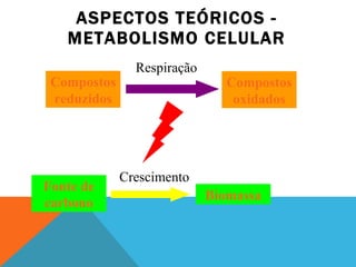 ASPECTOS TEÓRICOS - METABOLISMO CELULAR Compostos  reduzidos Compostos  oxidados Fonte de carbono Biomassa Crescimento Respiração 